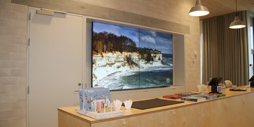 stevns-klint-experience (5)